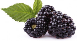 Mucize Meyve Böğürtlenin Faydaları Nelerdir? Böğürtlen Neye İyi Gelir, Besin Değerleri Nelerdir? -Son Dakika Haberi