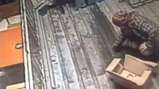 Kadının çığlığını duyan oraya koştu! Zeytin topladığı esnada dehşeti yaşadı