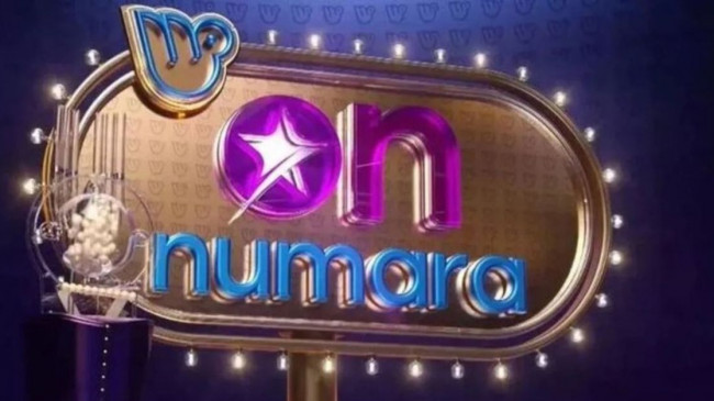Mili Piyango On Numara sonuç sorgulama ekranı