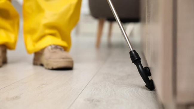 İlaçlama hizmeti alınacak – Son Haberler