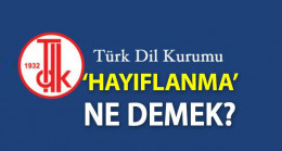 Hayıflanma Ne Demek? TDK’ya Göre Hayıflanma Kelime Anlamı Nedir, Nasıl Kullanılır?
