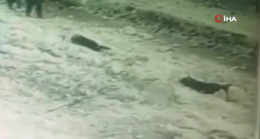 Rusya’da korkunç anlar! Yayaların üstüne kar kütlesi düştü