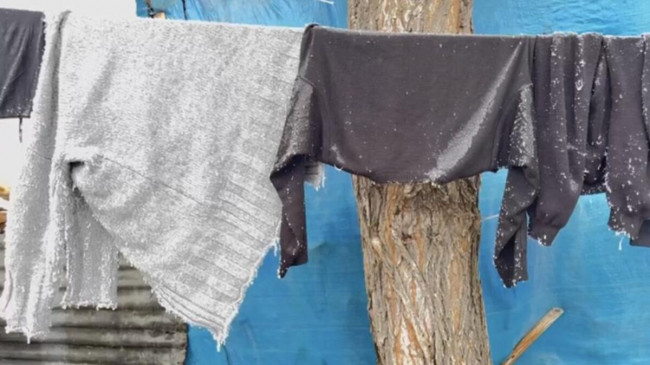 Ağrı’da aşırı soğuklar dona neden oldu