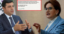 O kısımda ne demek istedi? İşte Demirtaş’ın Akşener’e yazdığı mektuptaki Kürtçe ifadelerin tercümesi