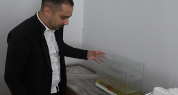 Ağır hasarlı evine 44 gün sonra girdi! Gördüğü manzara karşısında hem şoke oldu hem mutlu oldu