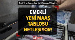 Emekli yeni maaş tablosu netleşiyor! 4 veri kaldı, SSK, Bağkur’lu emekli ve memur için %6 zam! Ek artış ve intibak yolda! 5.500, 6.250, 7.250 maaş alanlar…