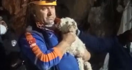 Hatay'da depremin 25. gününde enkazdan bir köpek canlı çıkartıldı