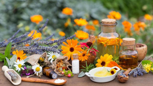 Homeopati ile fitoterapi arasındaki fark nedir?