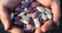 Kuru Fasulyenin Yanına Ne Gider? Kuru Fasulyenin Yanına Yemek Ve İçecek Tavsiyeleri