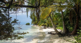 Panama Hakkında Bilgiler; Panama Bayrağı Anlamı, 2023 Nüfusu, Başkenti, Para Birimi Ve Saat Farkı