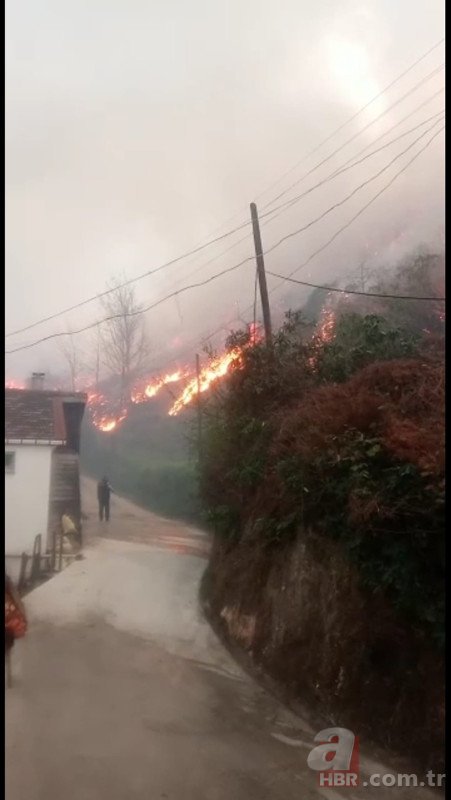 Trabzon Of’ta orman yangını: Kısmen kontrol altına alındı